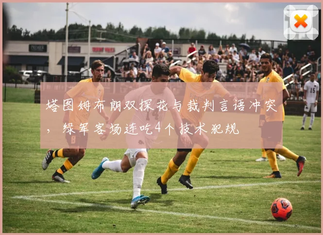 塔图姆布朗双探花与裁判言语冲突,绿军客场连吃4个技术犯规