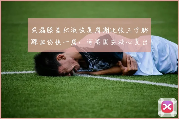 武磊膝盖积液恢复周期比张玉宁脚踝扭伤快一周，海港国安核心复出时间错位